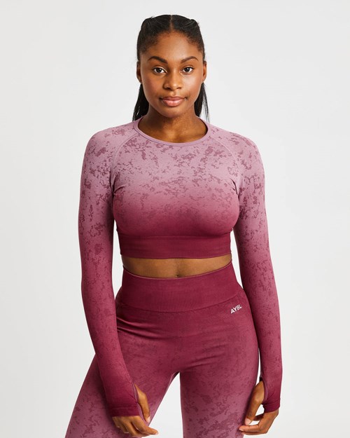 AYBL Flare Seamless Long Sleeve Crop Top Plum | FENZS7250