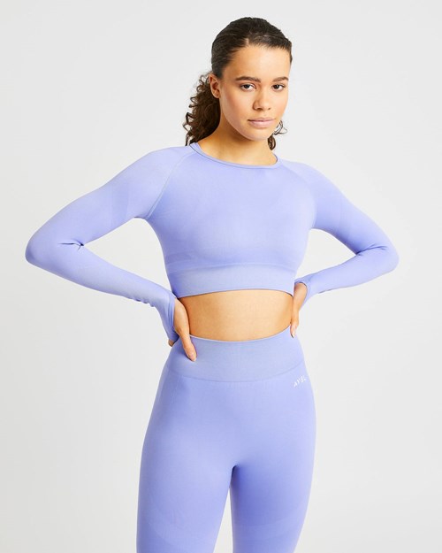AYBL Reform Seamless Long Sleeve Crop Top Moradas | VIZBL3549